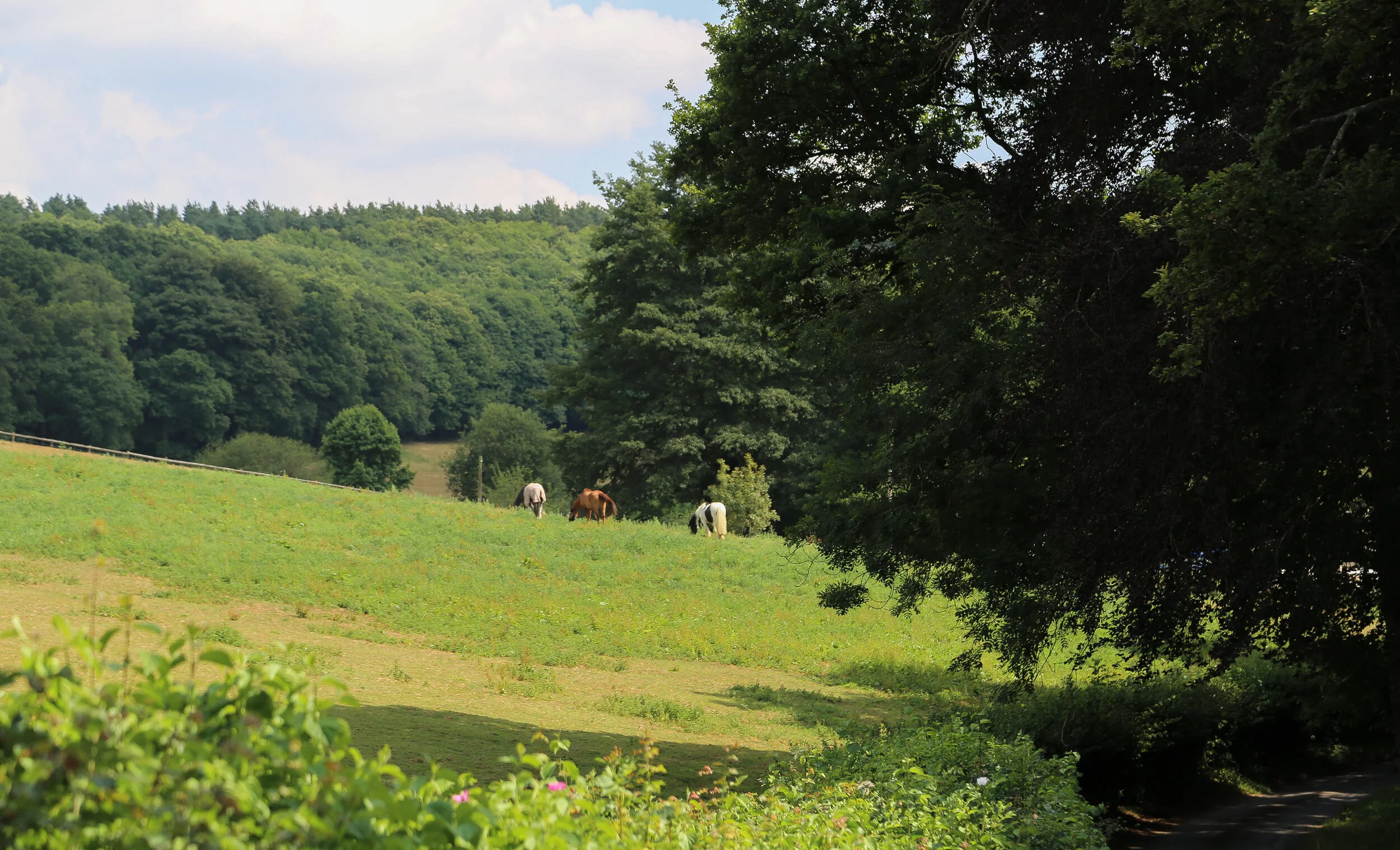 C0FB069C-51E5-43B0-A7B8-76DA90B020AB