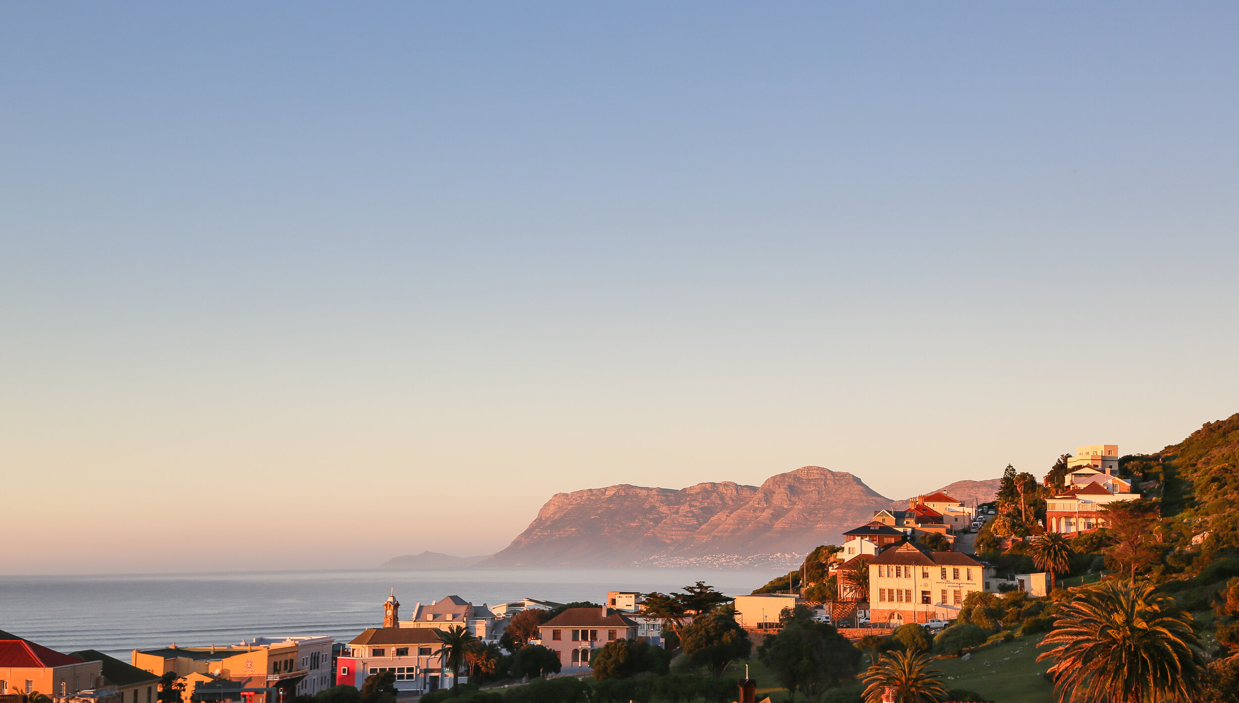 C935A41A-3503-4CD6-8151-EF41514E615C