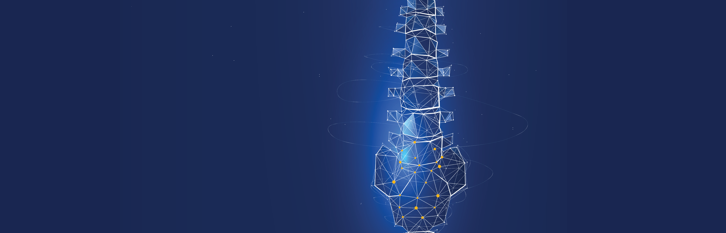 BioMD_WebSpine24.png