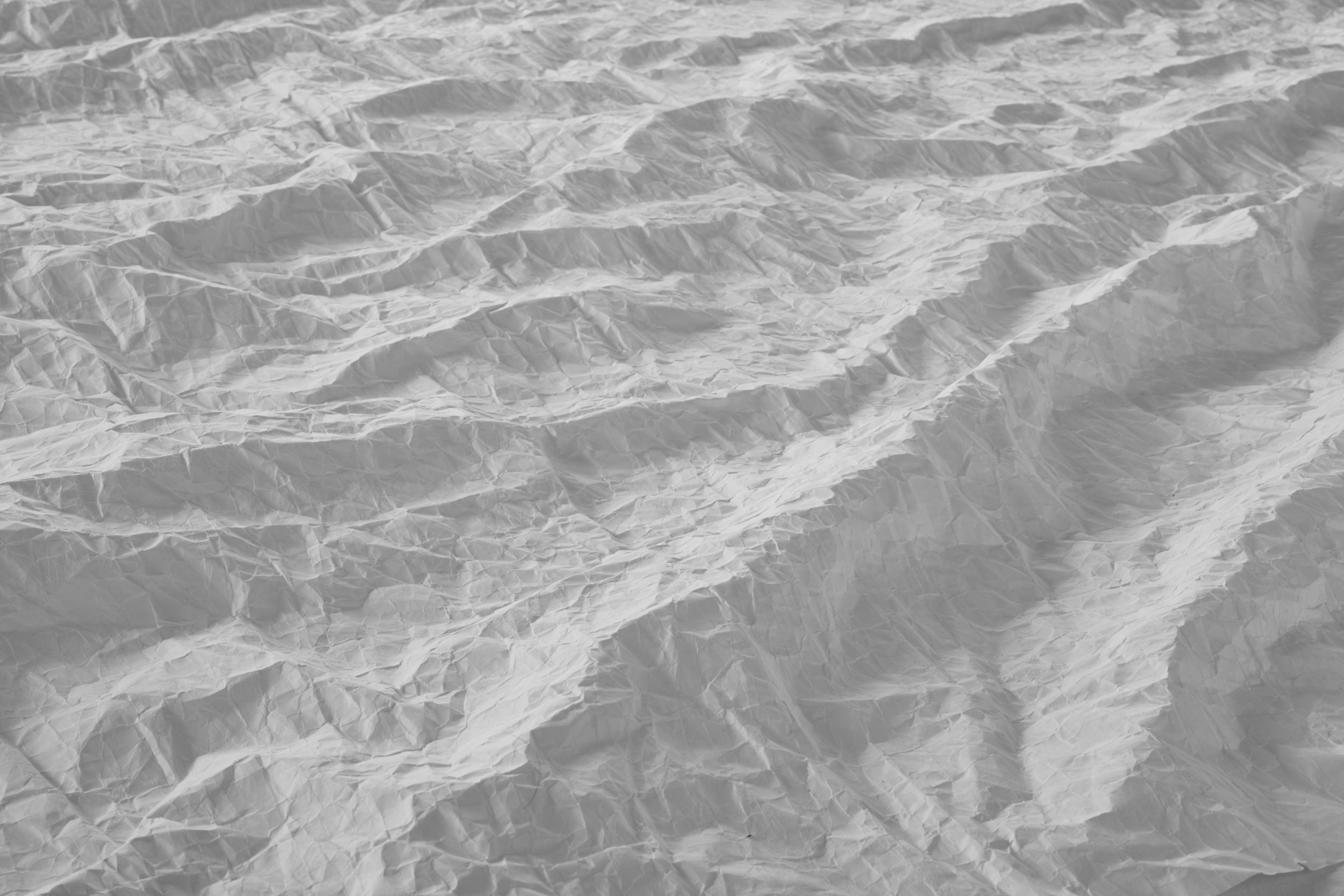 2016-09-09 SIDDHARTHA2650.JPG