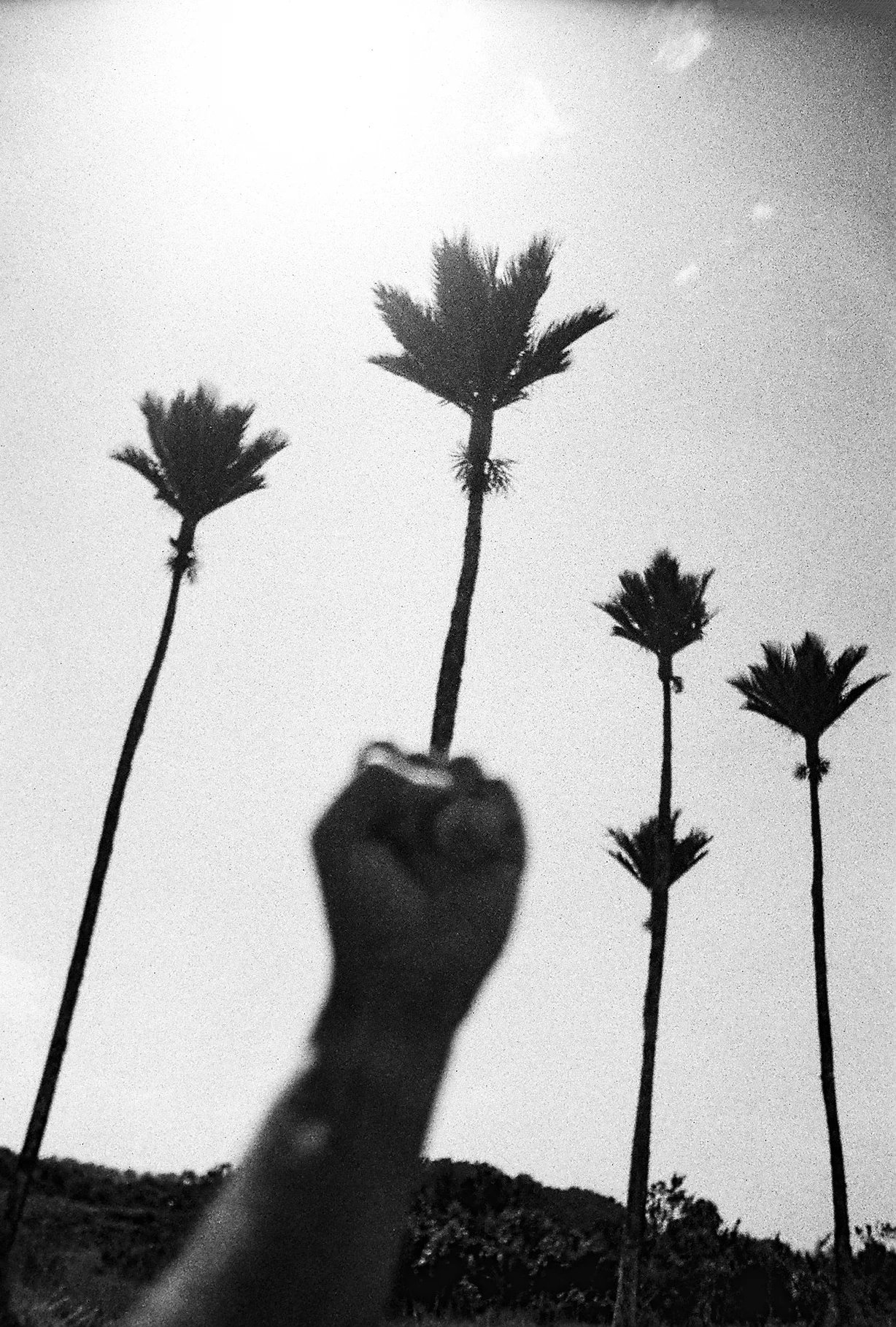 WT006.jpg