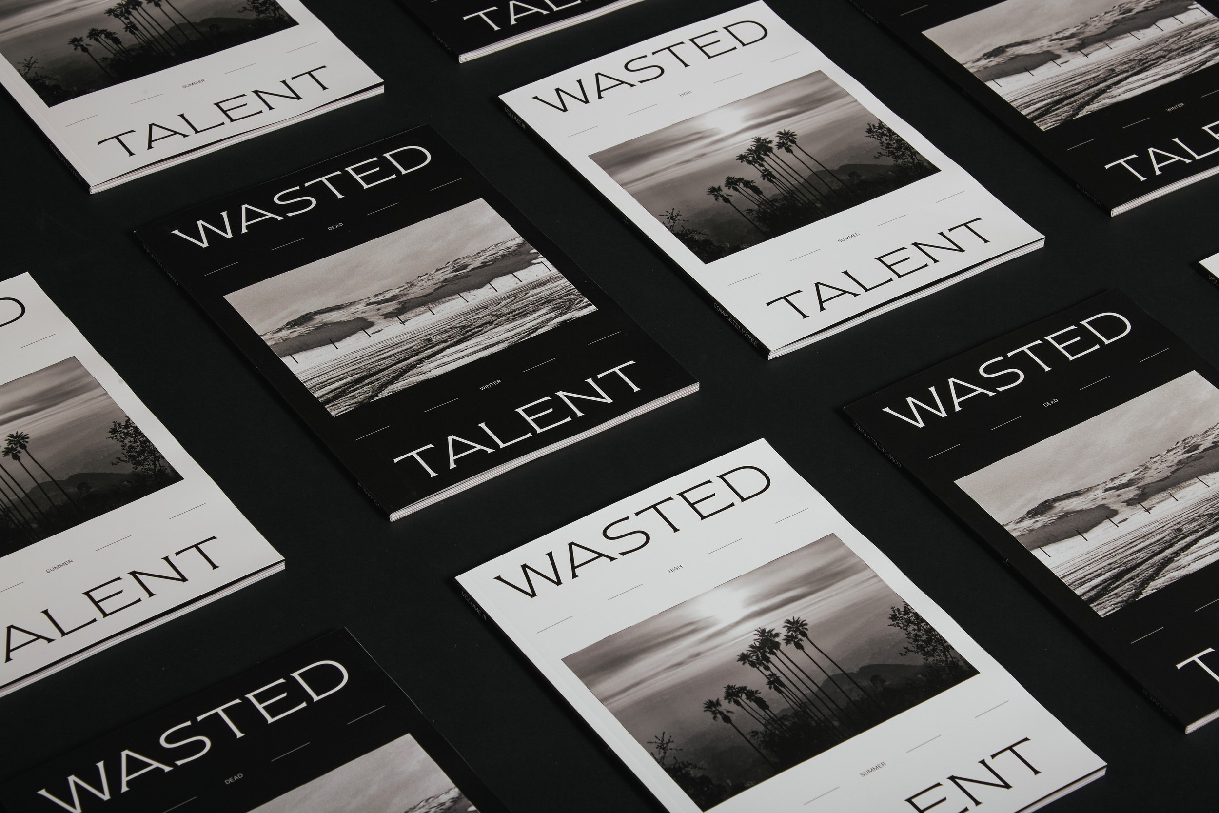 wasted talent vol iii1148.jpg