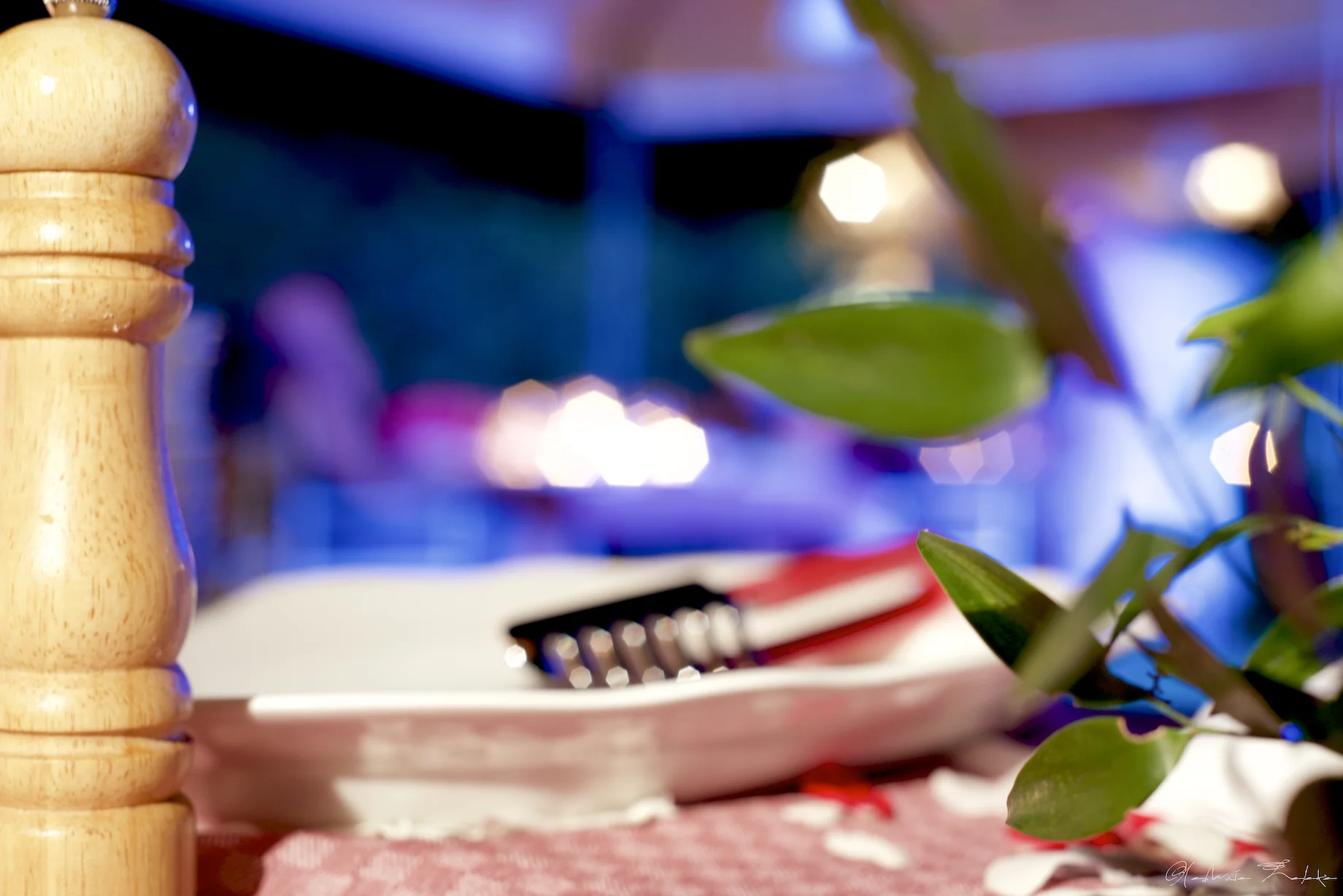 BBQ - Villa Daniela Grossi 7.jpg