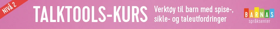 955x100_Talktools_Toppbanner_nivå_2.jpg