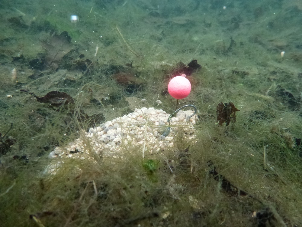 Perfect presentation in weed or bottom debris
