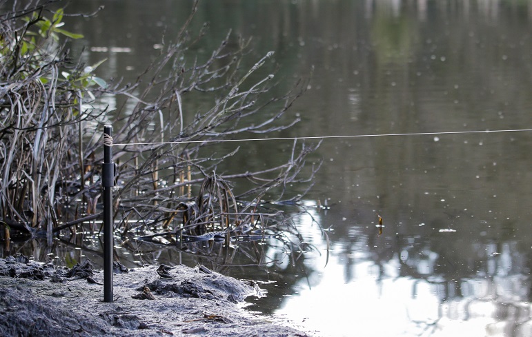 Tight line to your rod, slack line to your rig.