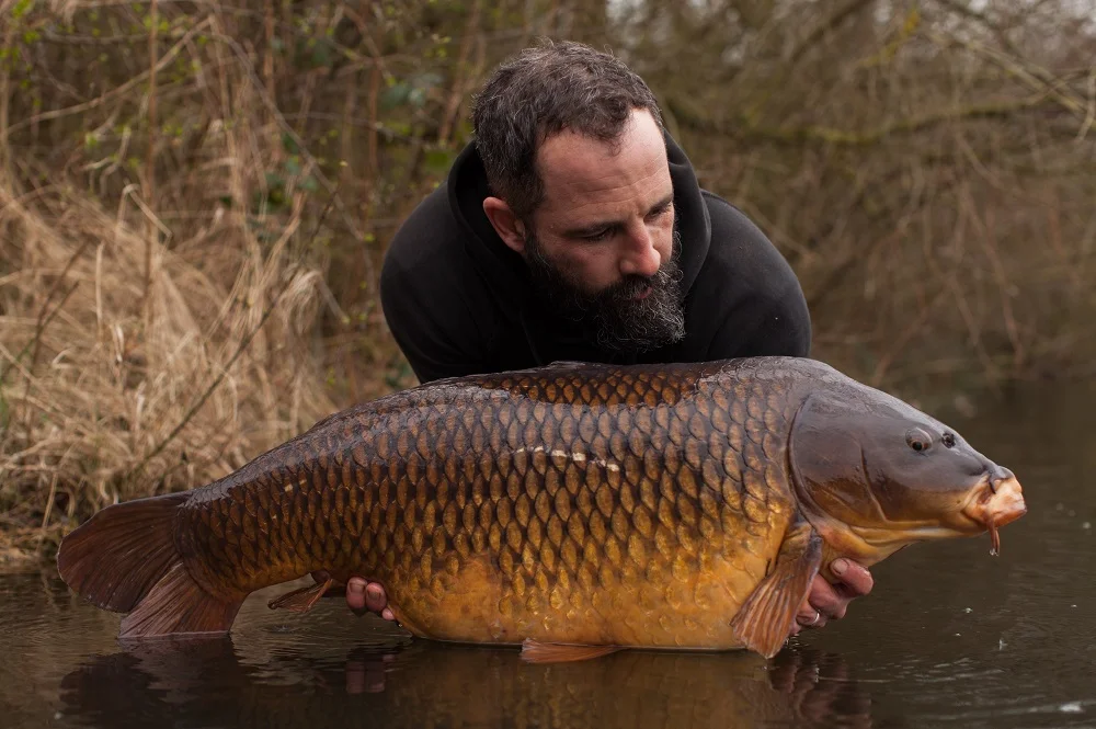 This fish is known as the Pig