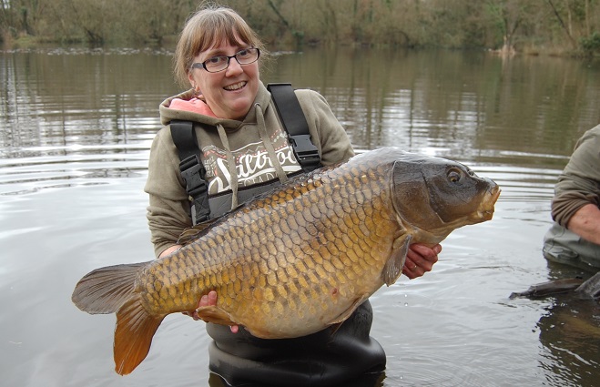 A Hampshire cracker