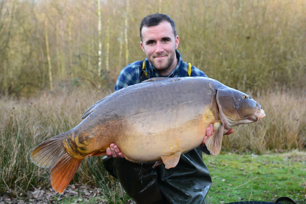 The 'smaller' part of the brace at 43lb