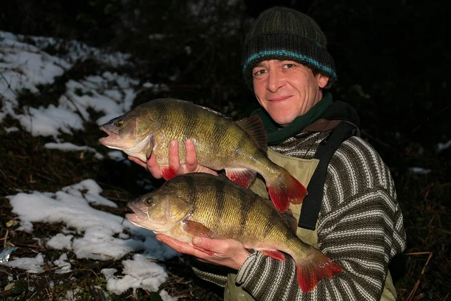 A fine brace of perch for Tel 