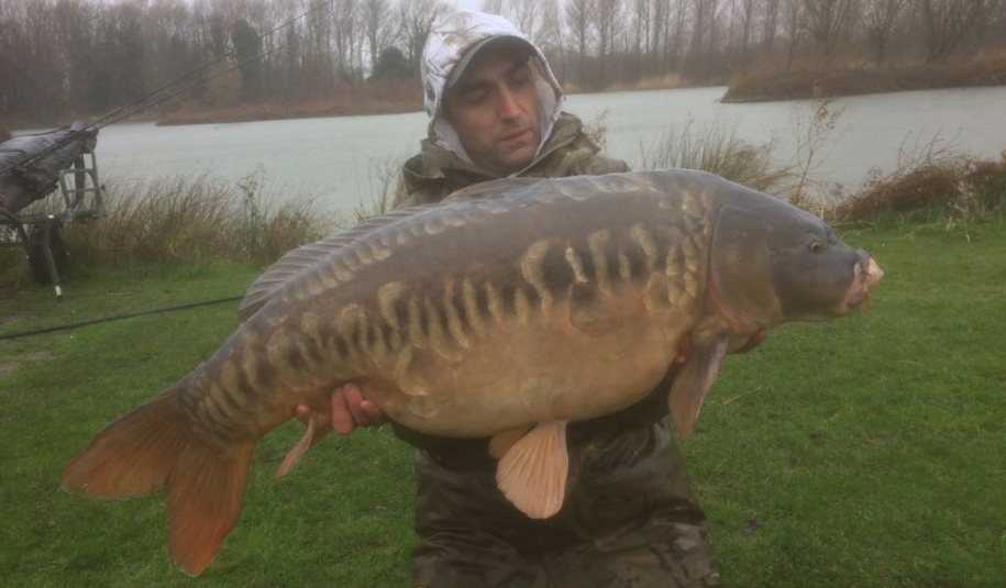 Mark's scaly forty
