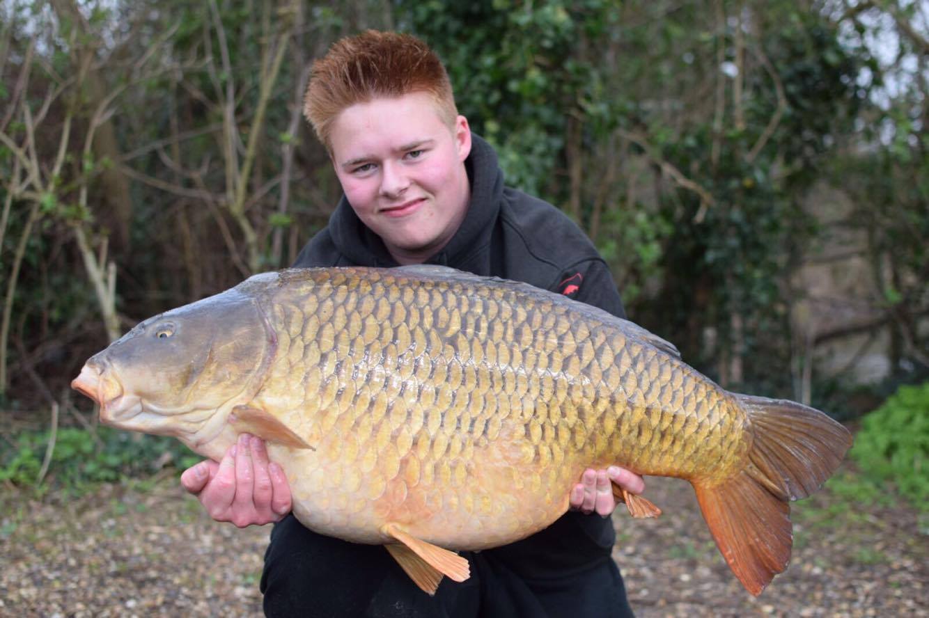 Tyson at 36lb