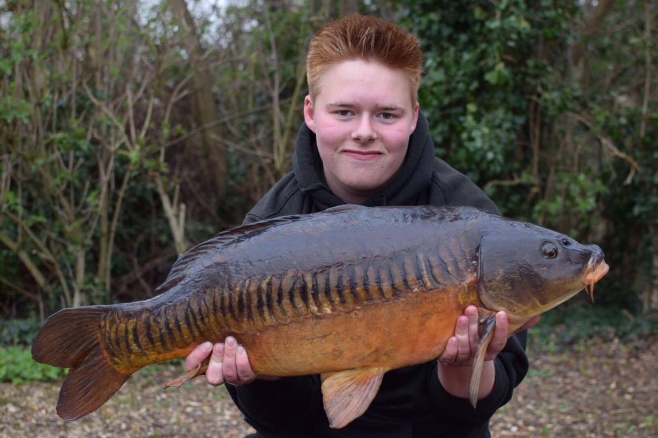 A cracking linear for Benedict 