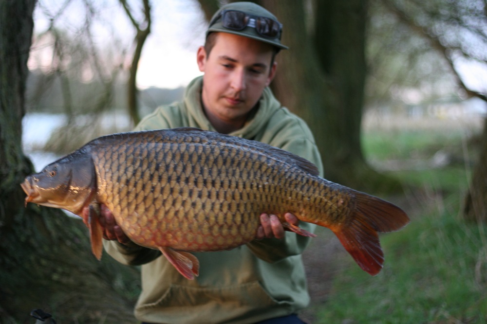 One of two 22lb commons in two days