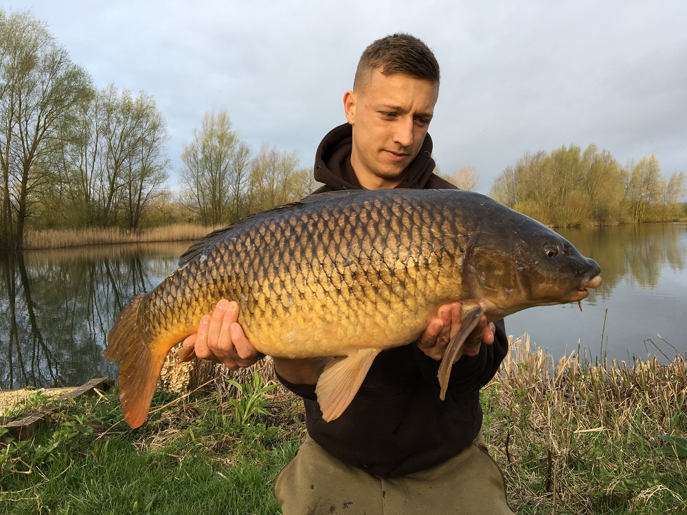 Just time for this common before heading back to the County Ground