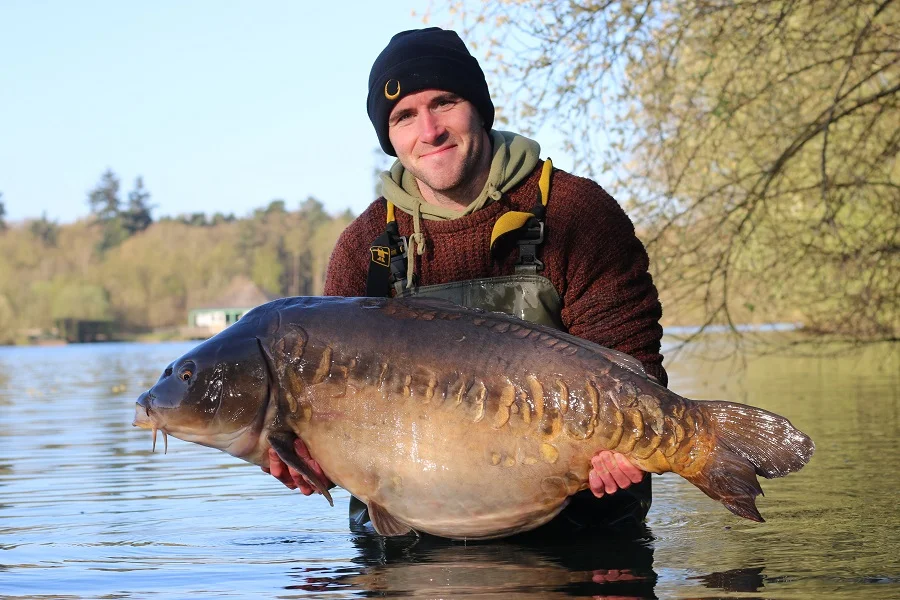 The Linear at 50lb 6oz 