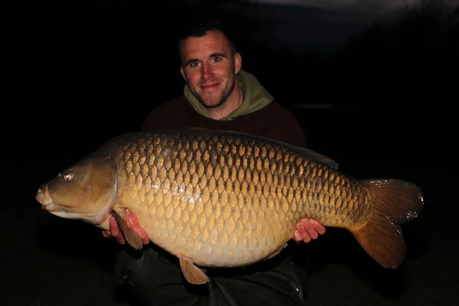 The Small-Tailed Common is a rare visitor to the bank