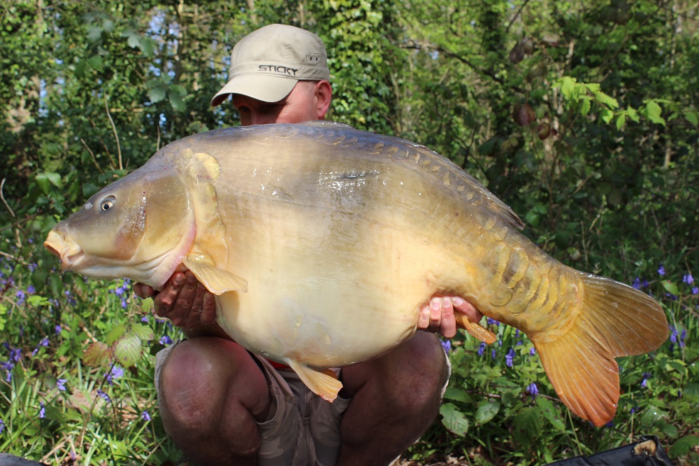 Boxer at 50lb 8oz