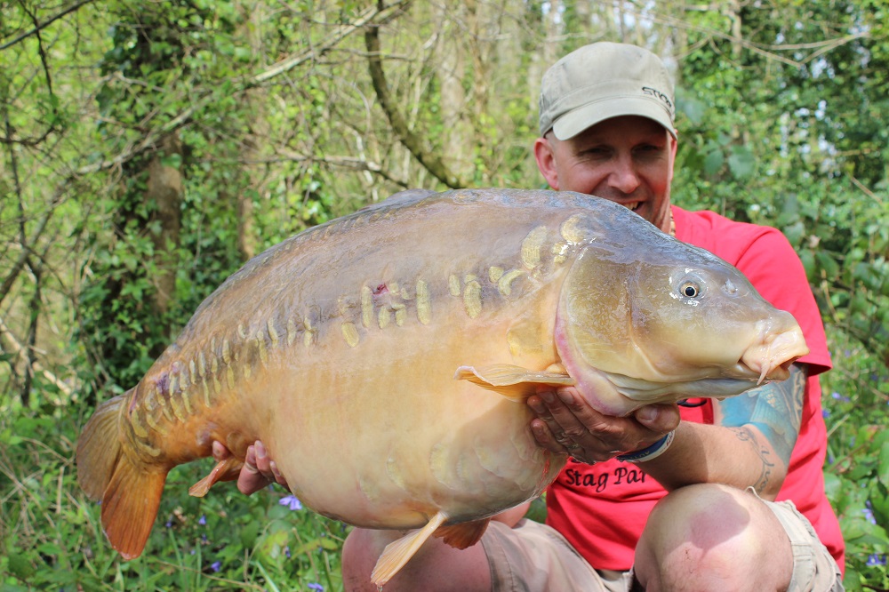 The 49lb Linear 