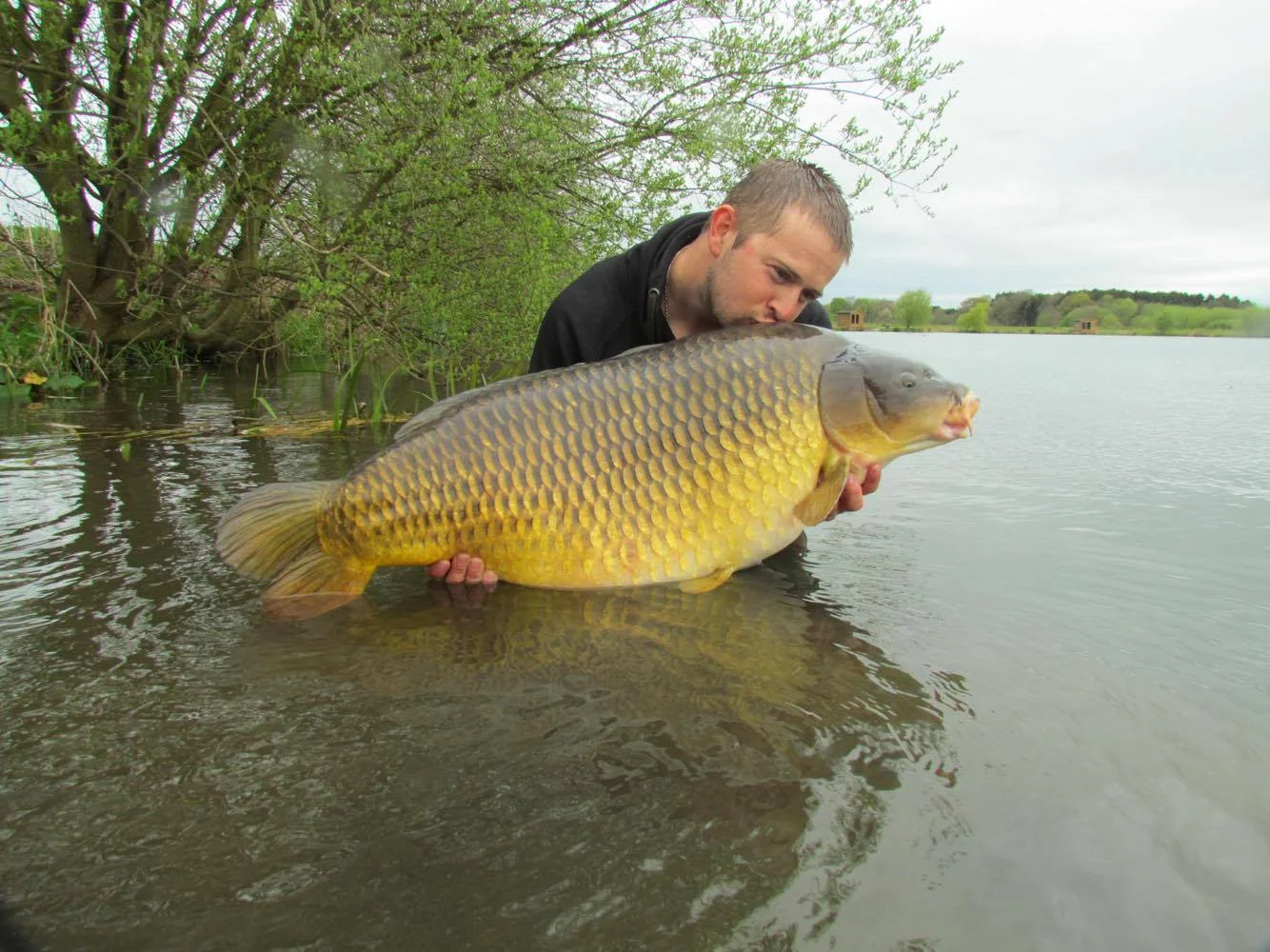 What a beauty! The 47lb Baden Hall common