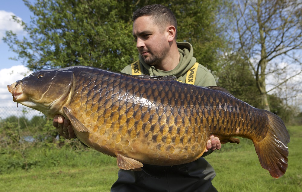 You can see why it's called the Long Common