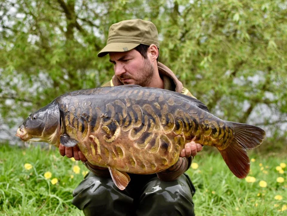 What a stunner!