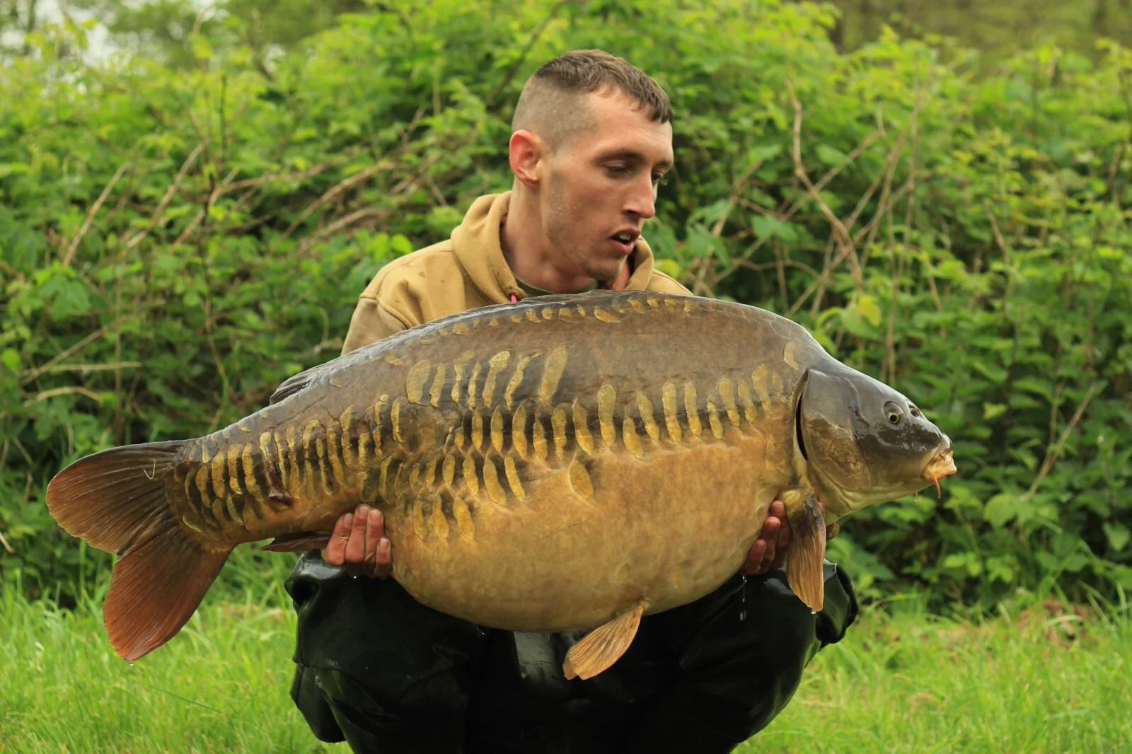 Jack's on fine form at Dinton