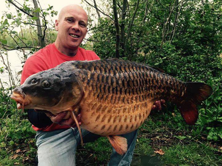 The 39lb common is part of an impressive stock at Mallard