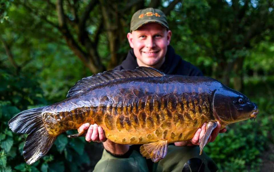 This stunning 28lb 8oz mirror was part of Kev's haul