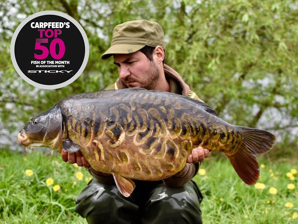 The best looking fish of the year so far?