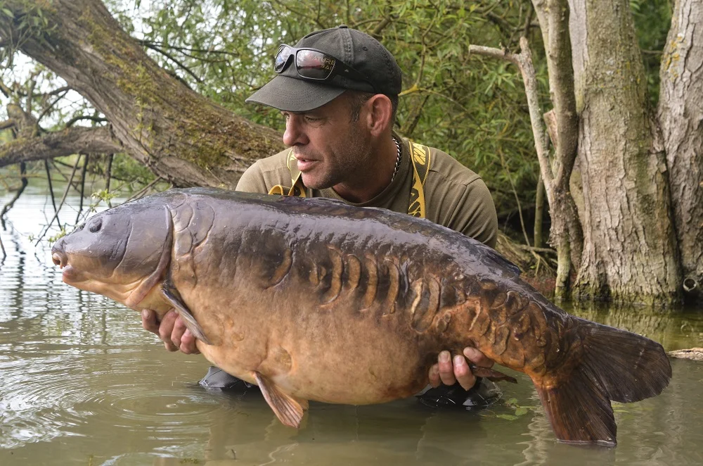 This fish is one of many stunners at Linch Hill