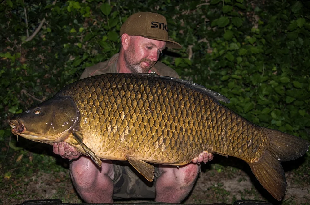 53lb 14oz of Italian common