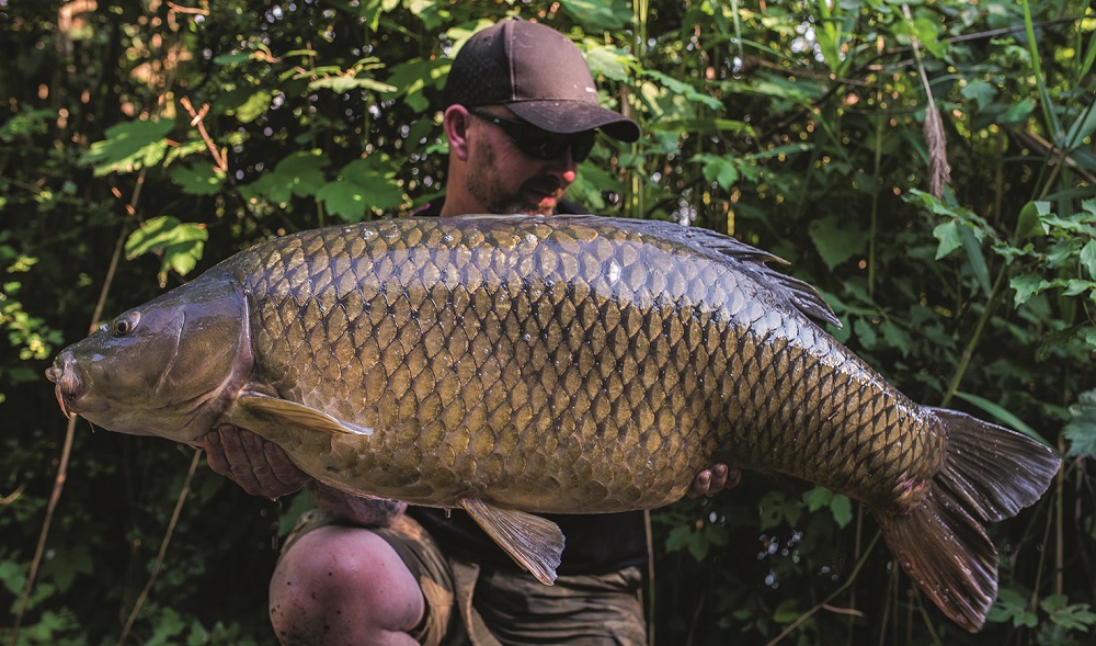 This common went 50lb 12oz