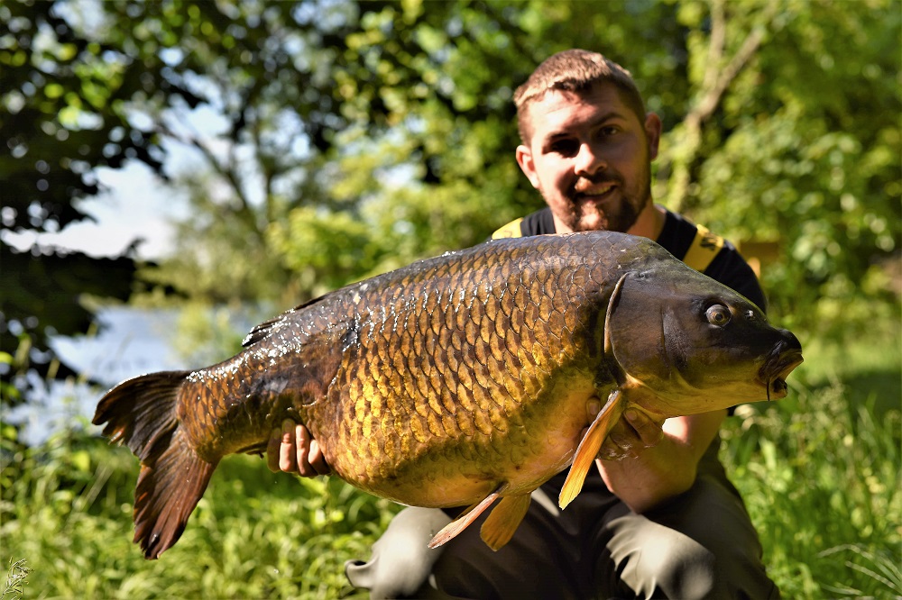 The Swirly Tail Common at 33lb 2oz