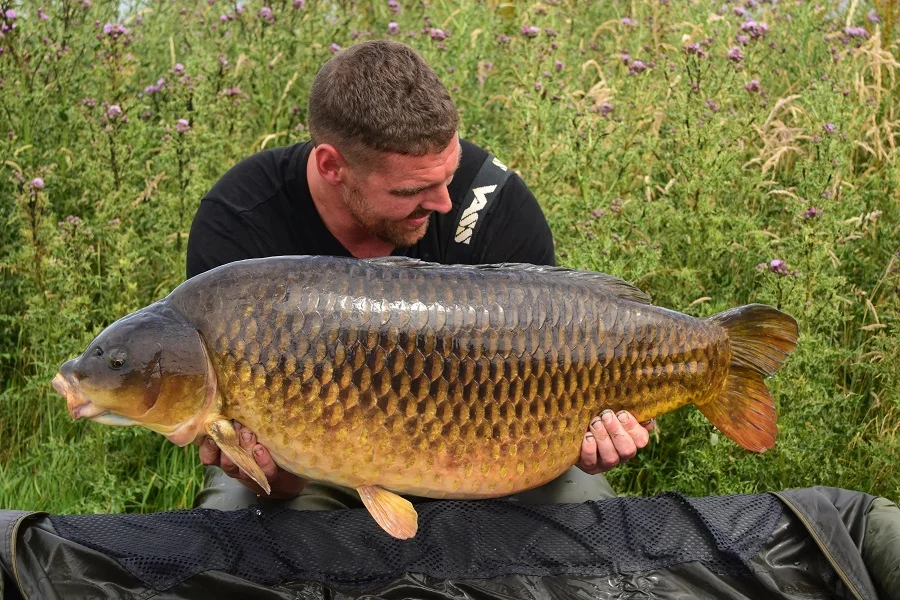The big common weighed a spawned-out 41lb