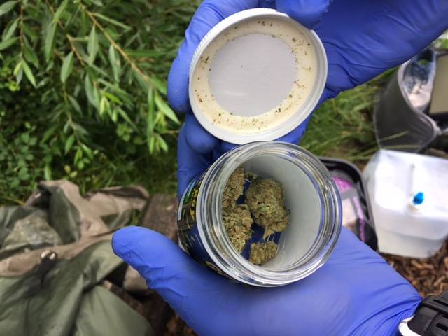 Some cannabis seemingly inside a pop-up tub