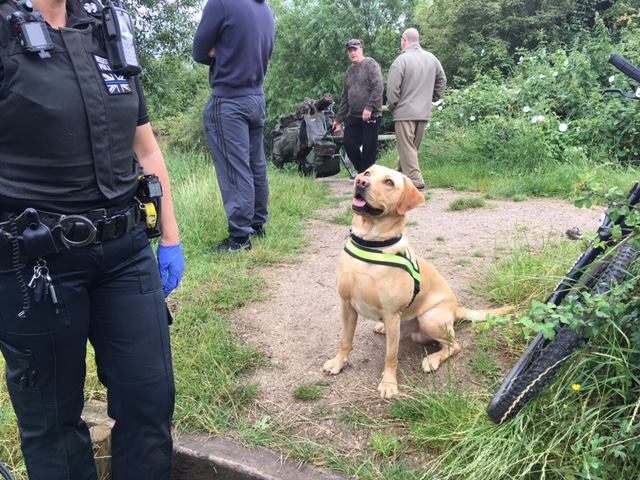 Otis the sniffer dog found more cannabis near the swim