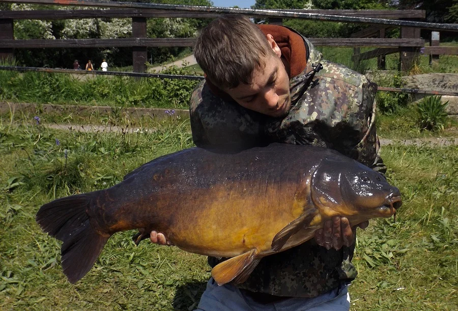 A worthy capture from a Manchester park lake