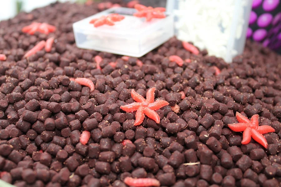 Michael's bait approach involved maggots and pellets