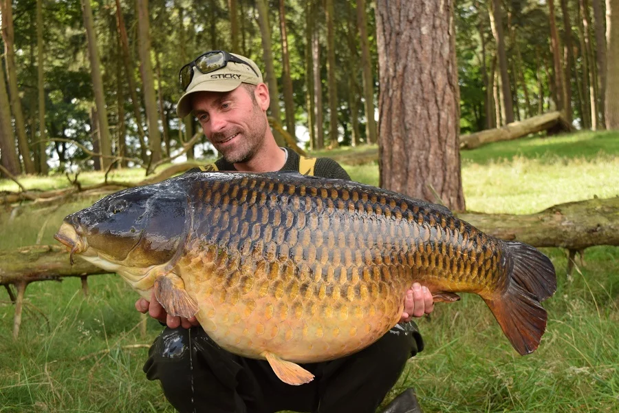 What a magnificent creature. The Tatton Park Common