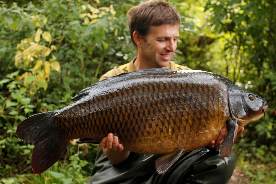 The star of the show was this 38lb common, uncaught in four years