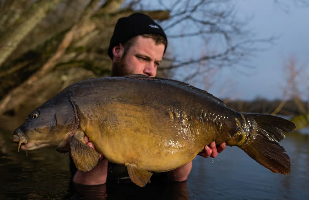 31lb 4oz of Hampshire mirror