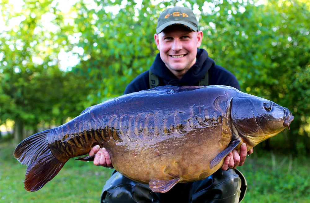Kempy's Linear from Manor