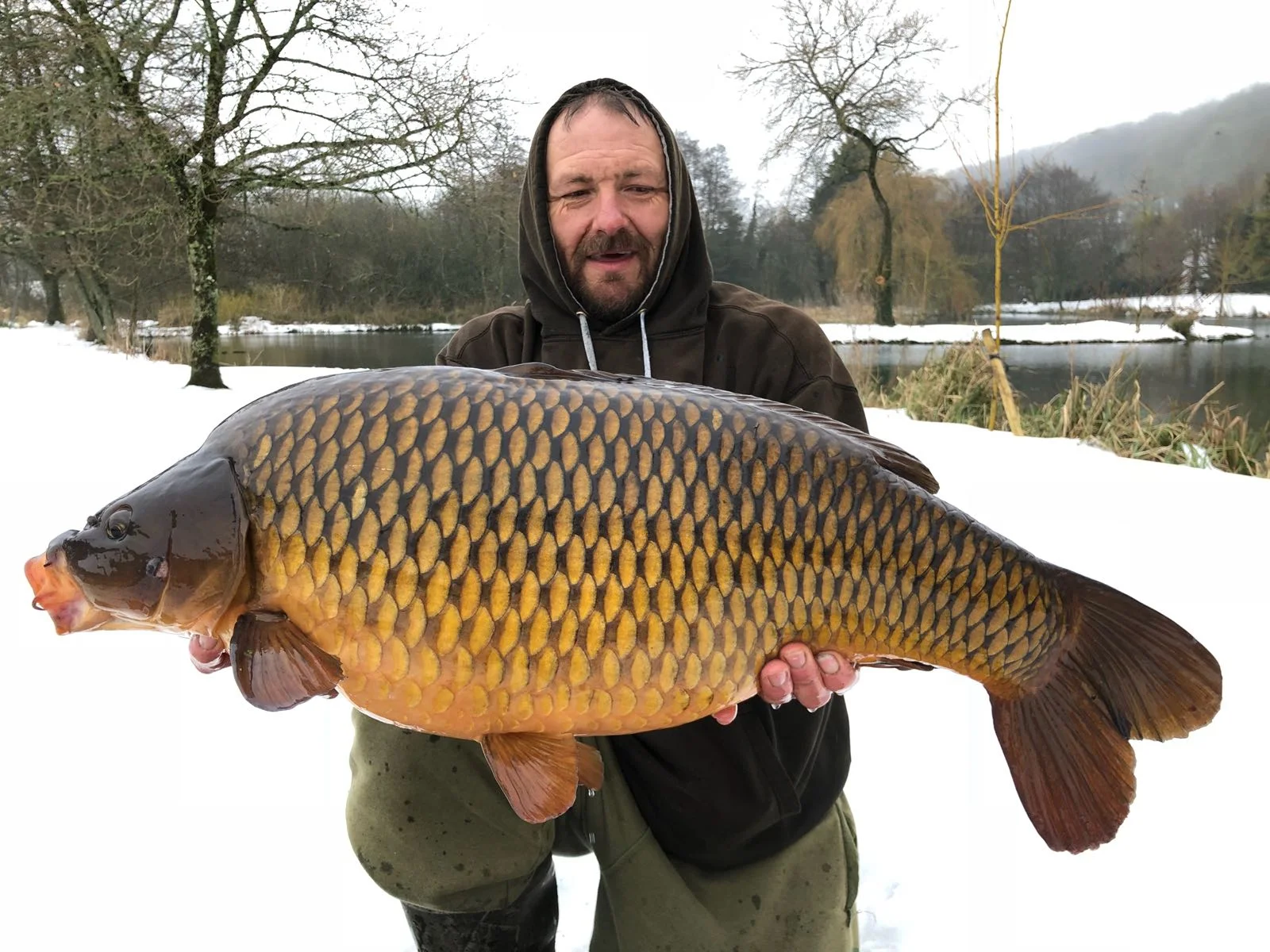 Look at the colour of this 28lb 6oz common!