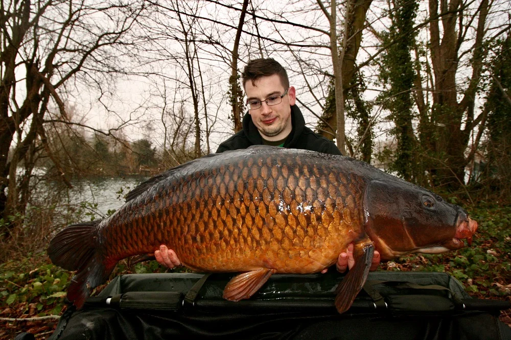 32lb 12oz of Oxfordshire day-ticket common