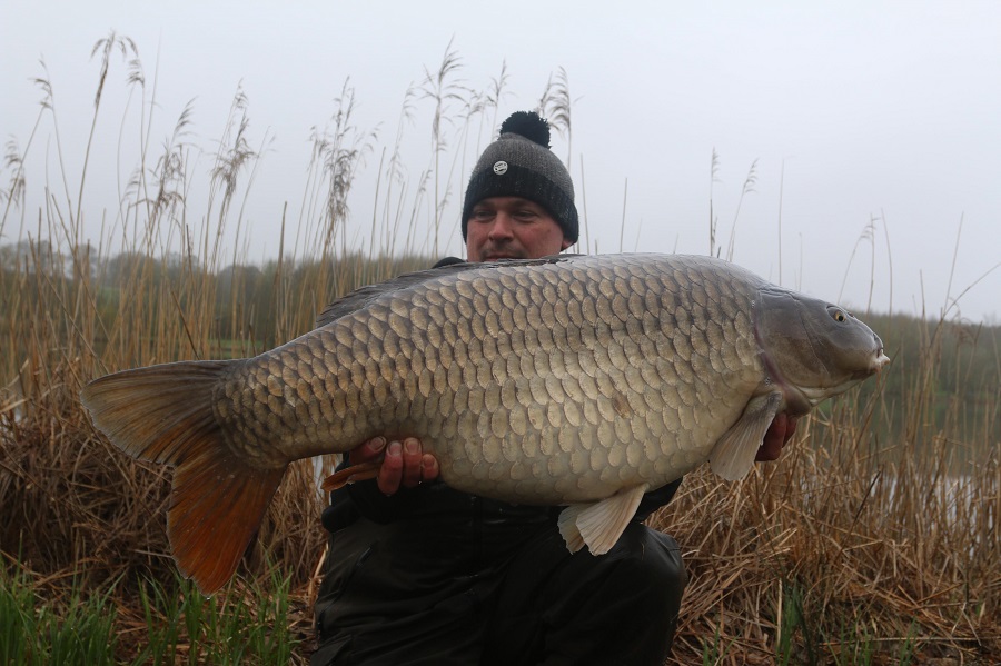 The second big common went 40lb