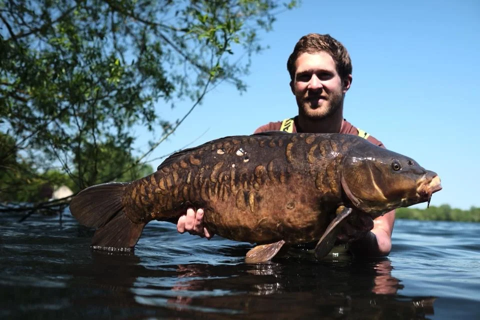 The other side of this pretty fish