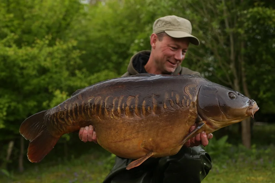 One of Linear's finest