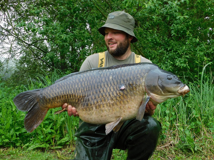 big common web 3.jpg