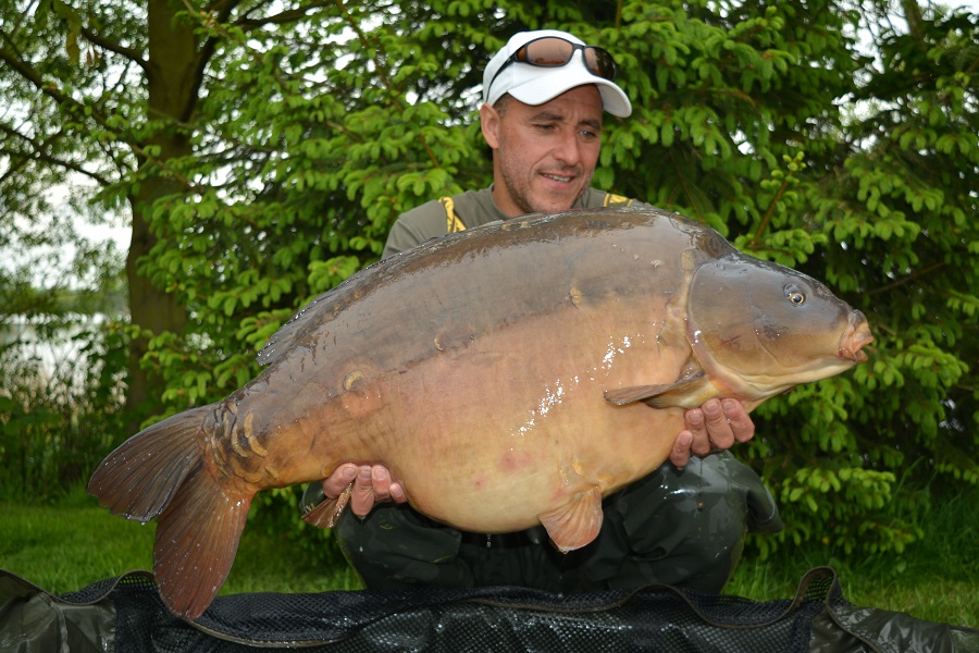 And another 40!